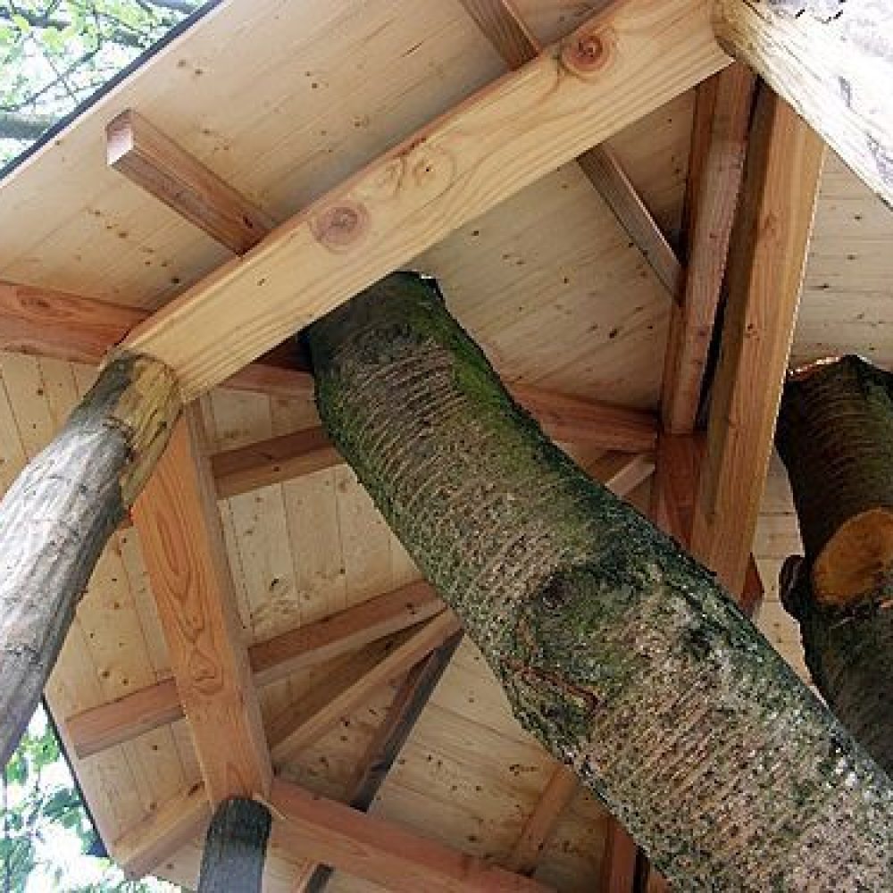 531c462c-caa6-4cc3-b0cf-7445636f4bfe